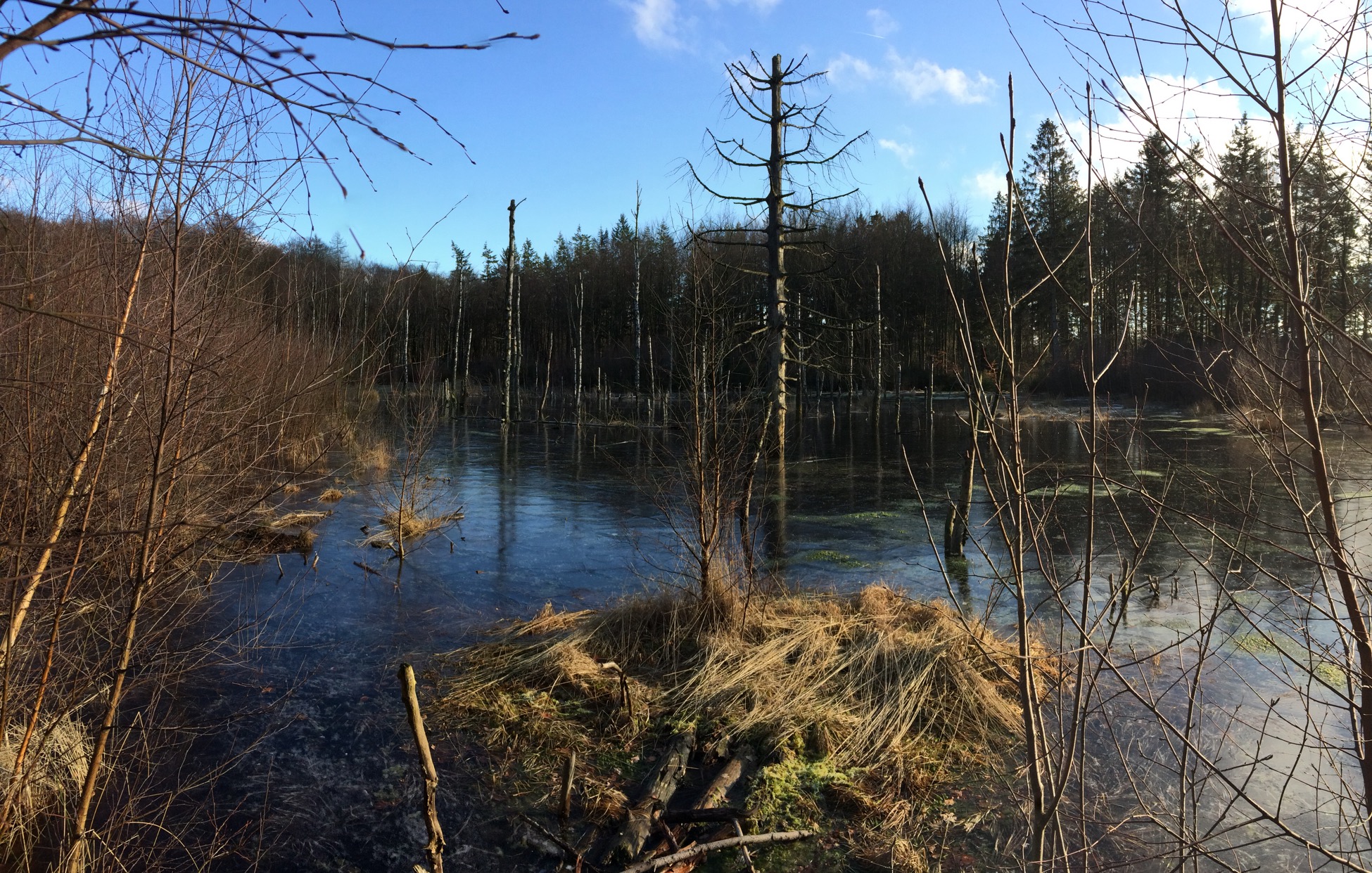 Naturens egen stumtjener