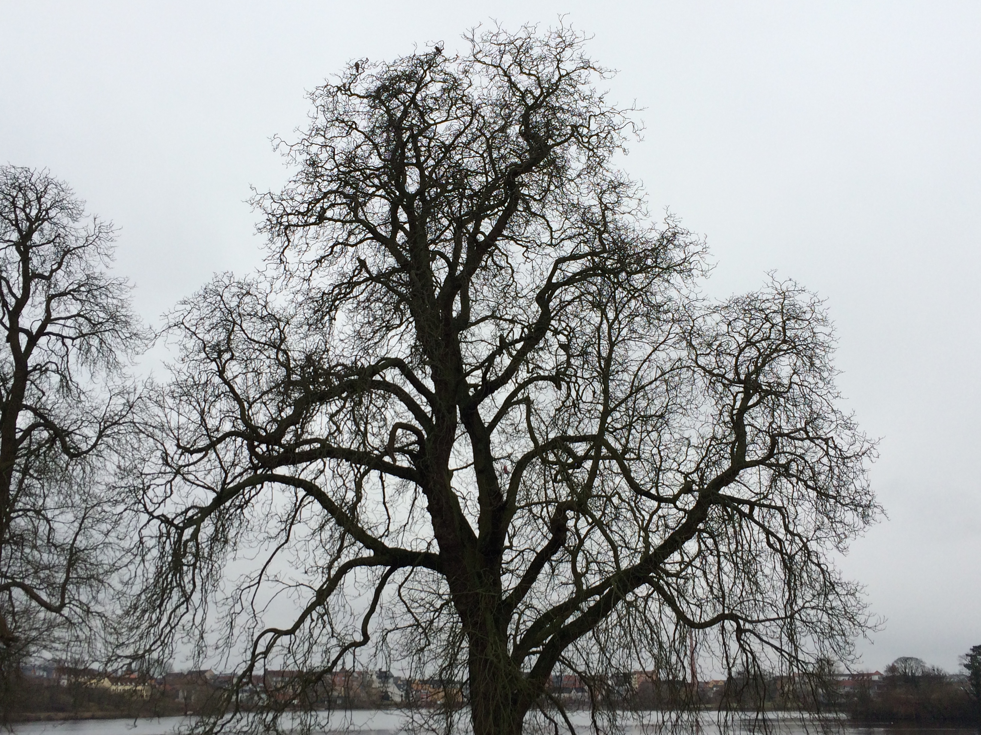 Barokhaven ved Hillerød Slot